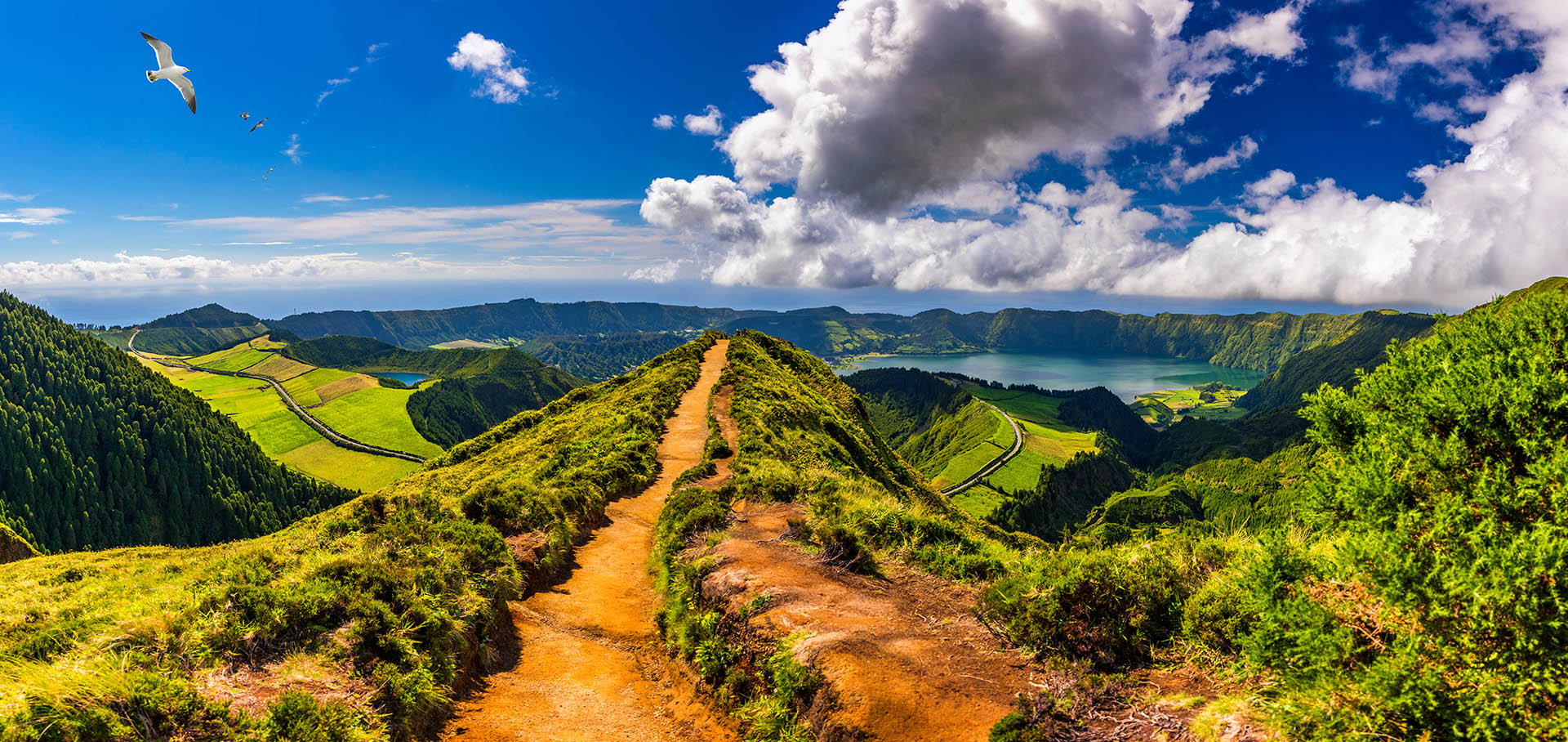 Açores 0