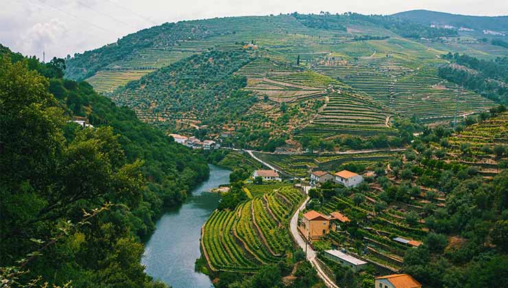 Douro Valley